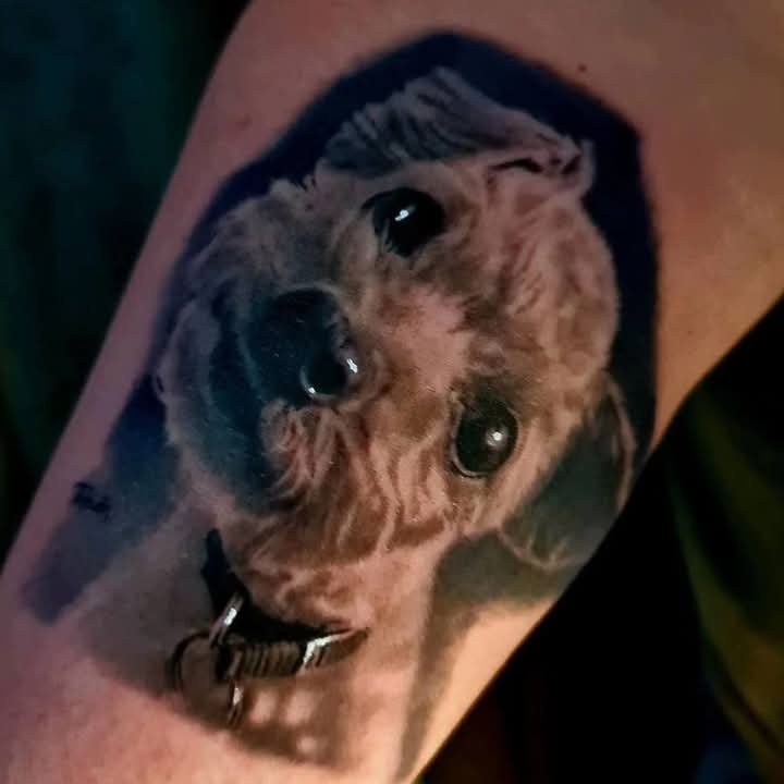 Black and grey realistic dog portrait tattoo with collar